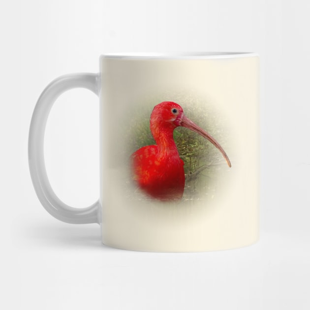 Scarlet ibis by Guardi